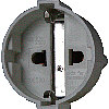 GBS (click to Enlarge)